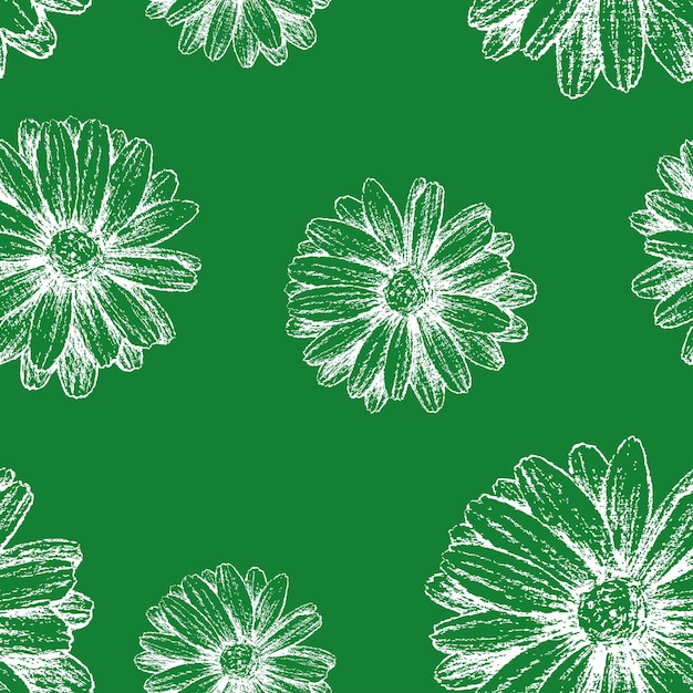 Seamless pattern of sketches white daisies