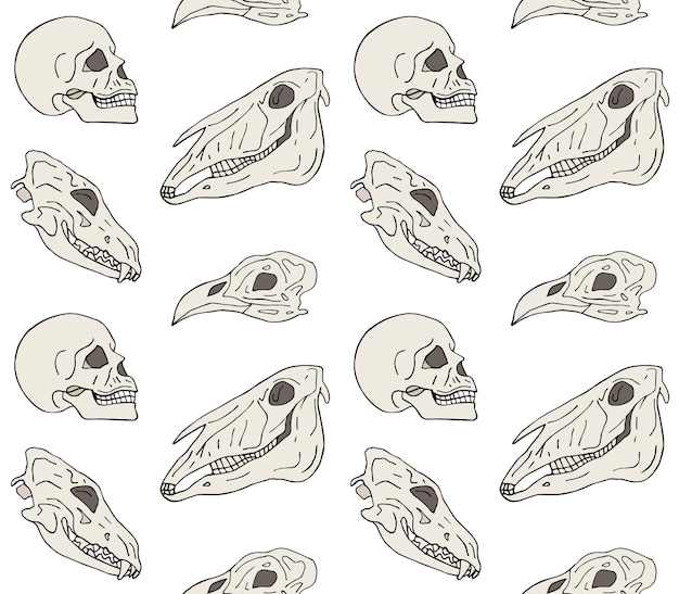 Vector seamless pattern of skulls