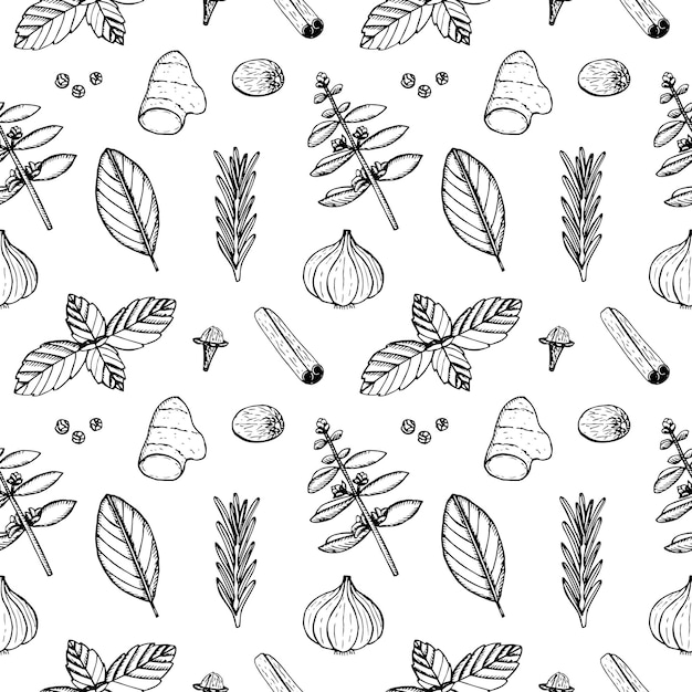 Vector seamless pattern spices vector illustration, hand drawing sketch