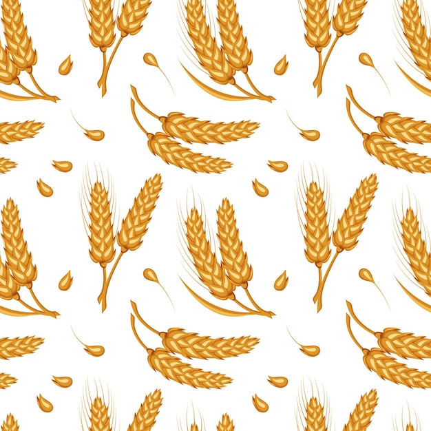 Seamless pattern of spikelets and rye seeds Grains of rye on a white background Agriculture