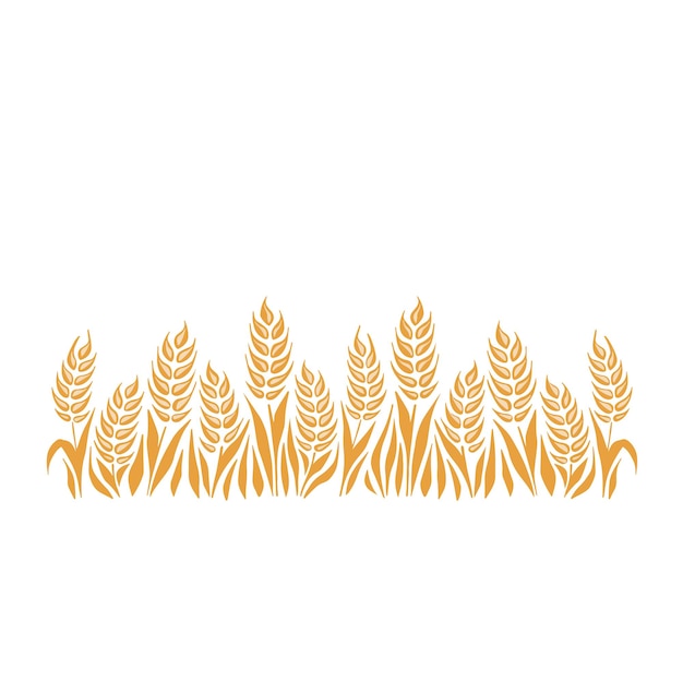 Seamless pattern of stems of ears of wheat oats barley rye and wheat on a white background and sp