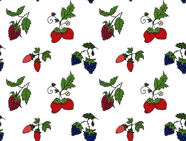 Seamless pattern strawberry raspberry blackberry Berry vector for fashion print textile cover