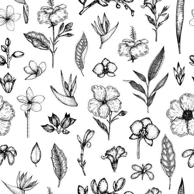  seamless pattern of tropical flowers isolated . Hand drawn floral background. 