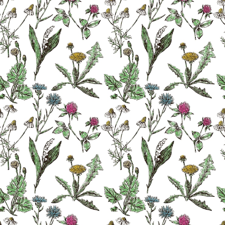 Vector seamless pattern of various wildflowers sketches