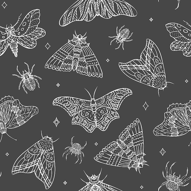 Seamless pattern of vector night butterflies and spiders Vector illustration