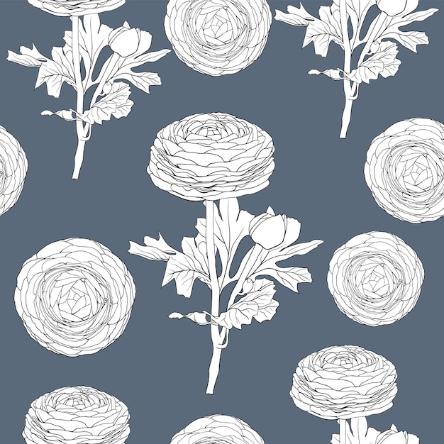 Vector seamless pattern vintage background with hand draw floral persian buttercup flowers