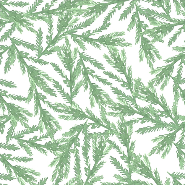 Seamless pattern watercolor drawing botanical branches of spruc