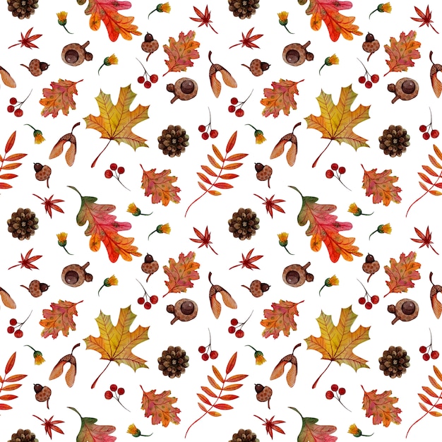 Seamless pattern watercolor fall leaves, cones and acorns