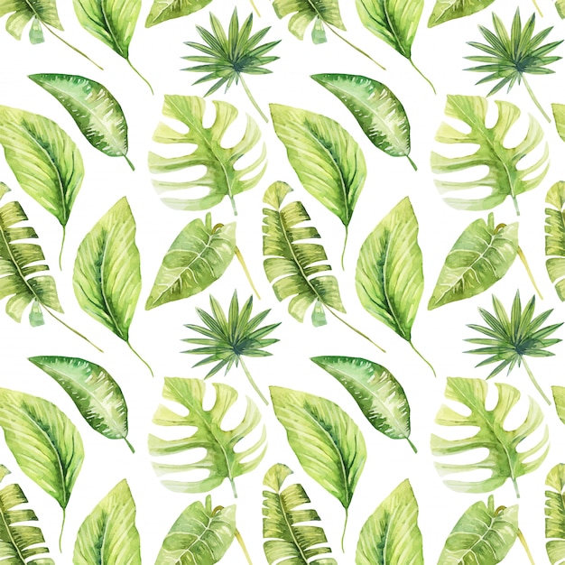 Vector seamless pattern of watercolor green tropical leaves of monstera, banana and palms, hand painted isolated