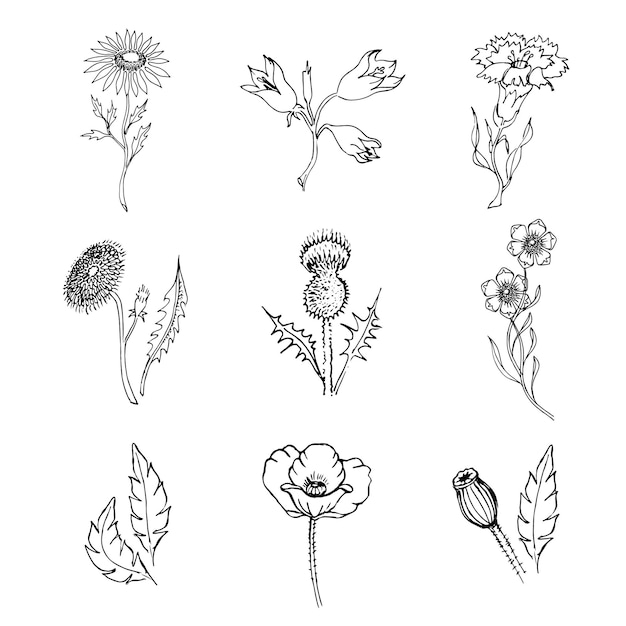 Seamless pattern wild field flowers isolated black on white botanical hand drawn sketch vector doodle illustration