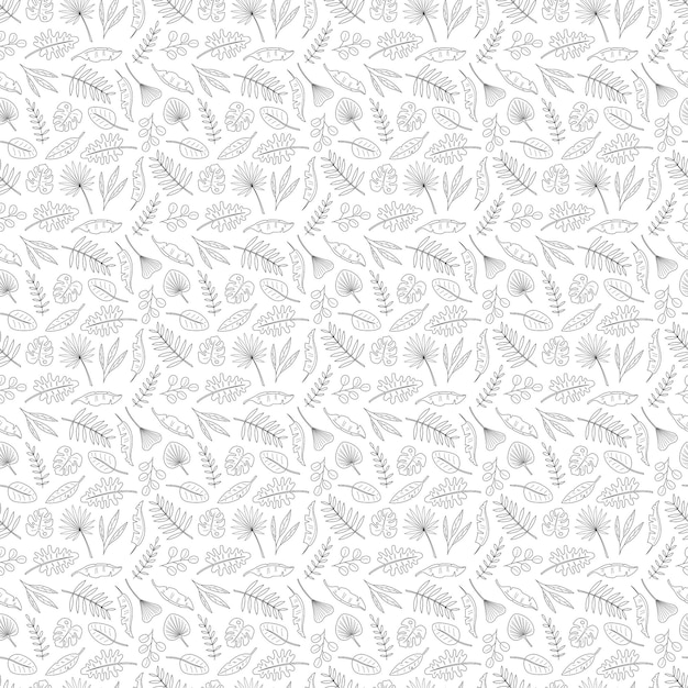 Seamless pattern with 13 different palm leaves Doodle black and white vector illustration