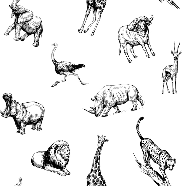 Vector seamless pattern with african animals lion elephant gazelle rhino cheetah antelope hippopotamus