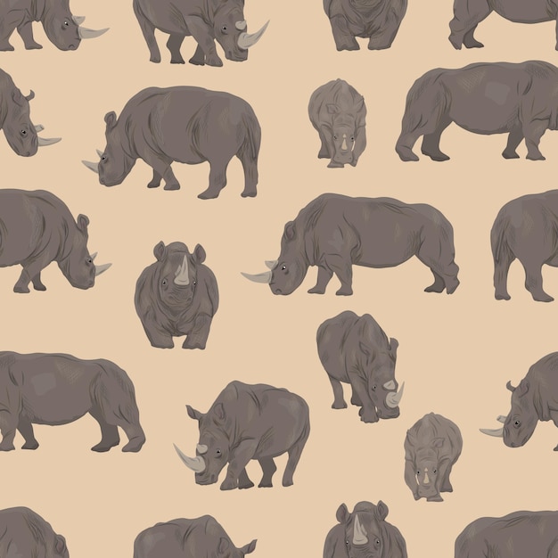 Vector seamless pattern with african white rhinos in different poses