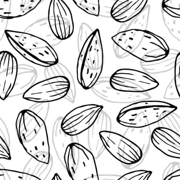 Seamless pattern with Almond Hand drawn vector nut Nuts backdrop