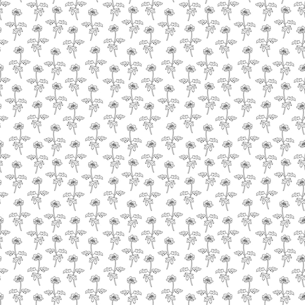 Seamless pattern with anemone flower Doodle black and white vector illustration