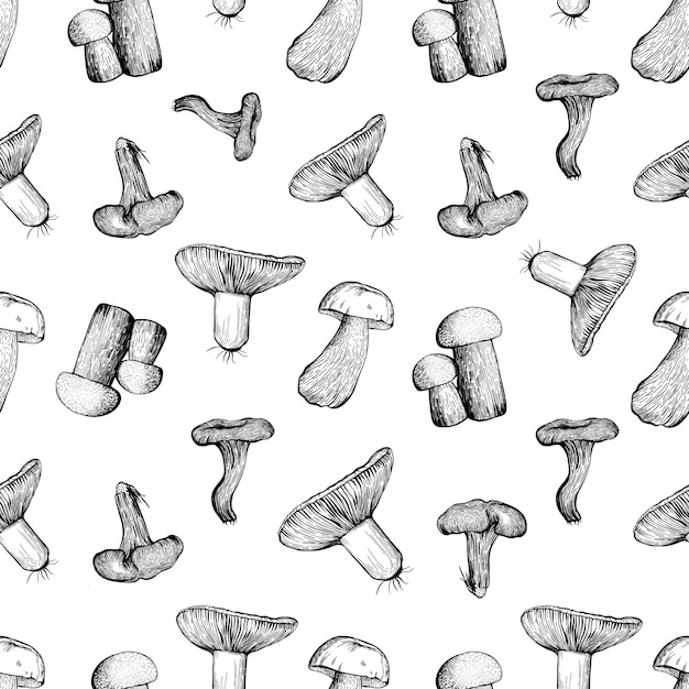 Seamless pattern with assorted mushrooms Vector illustration