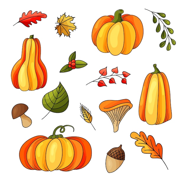 Vector seamless pattern with autumn elements orange harvest nature design for your background vector