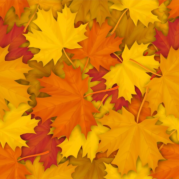 Seamless pattern with autumn fallen maple leaves.