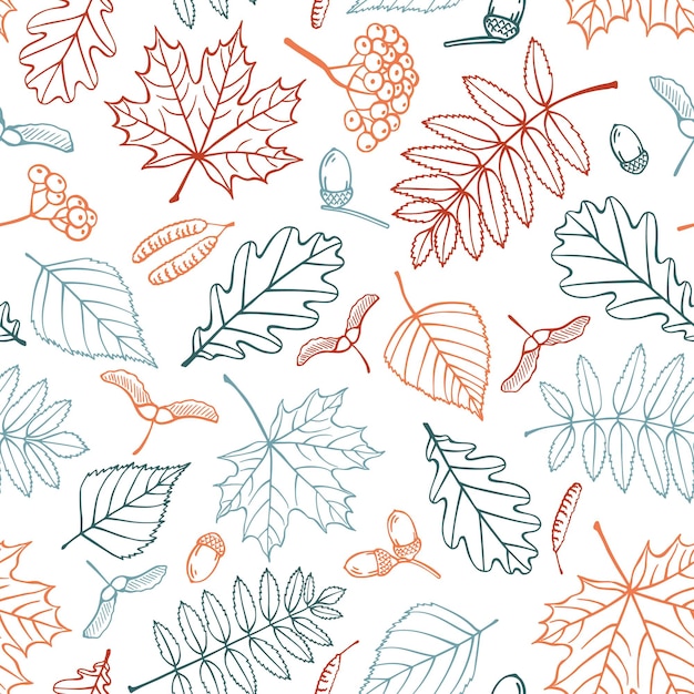 Seamless pattern with autumn leaves Hand drawn vector illustration