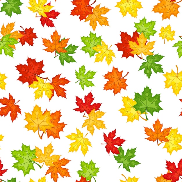 Seamless pattern with autumn maple leaves of various colors on a white background