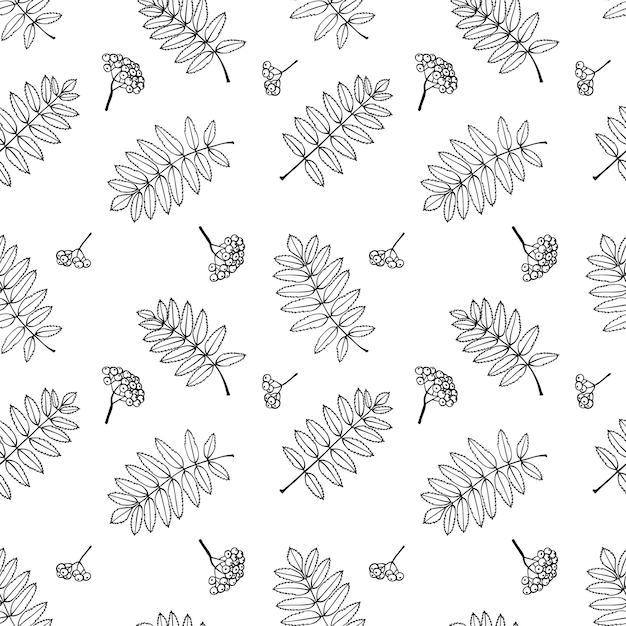 Seamless pattern with autumn rowan leaves Autumn holidays background Hand drawn vector illustration