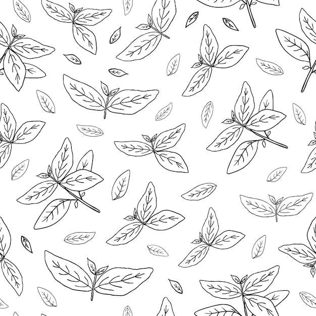 Seamless pattern with basil