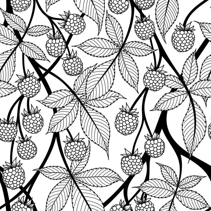 Vector seamless pattern with black contoured blackberry fruits on a white background in vector