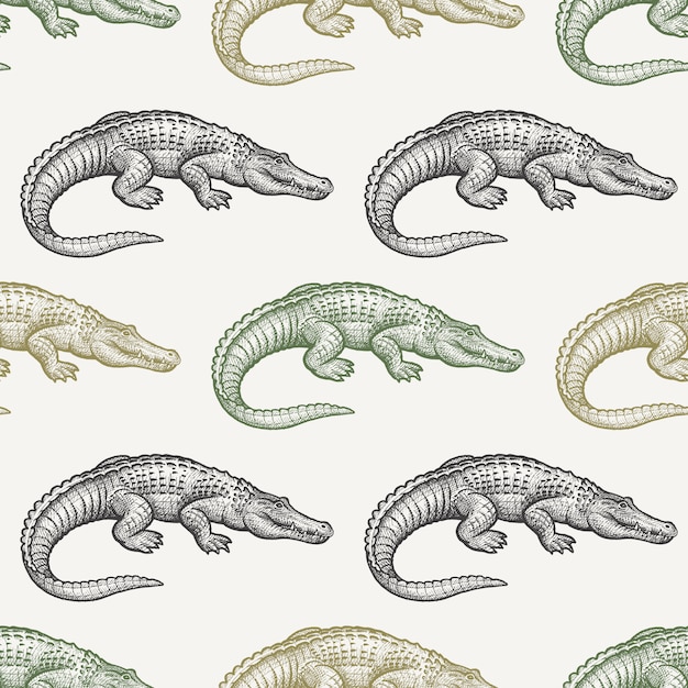 Vector seamless pattern with caiman.