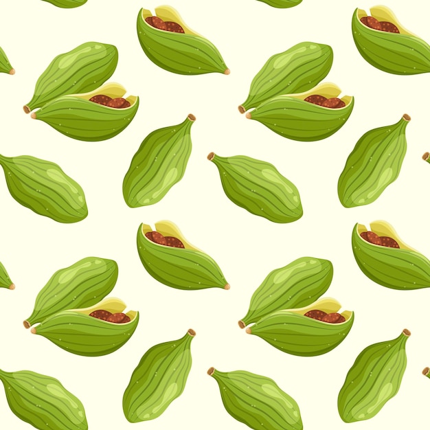 Vector seamless pattern with cardamom spices