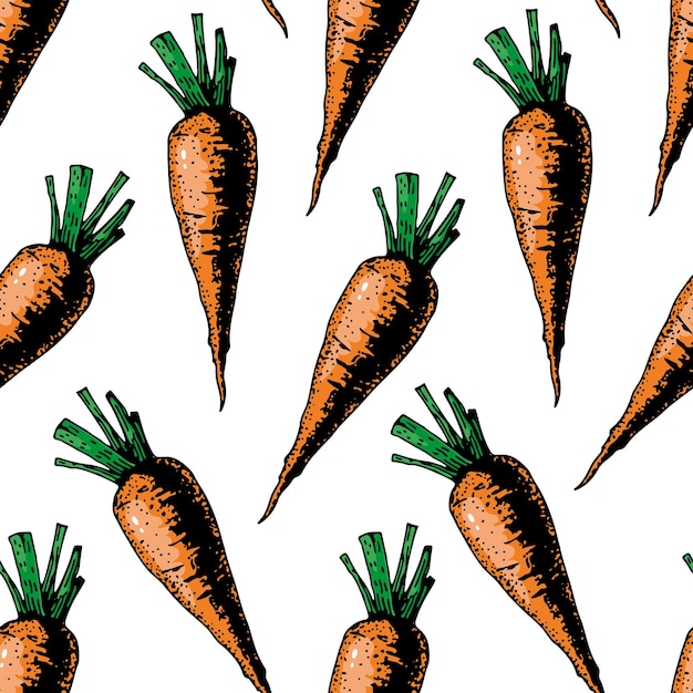 Seamless pattern with carrots on white background