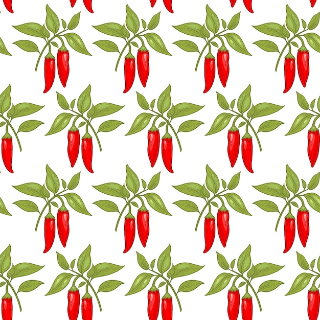 Vector seamless pattern with cayenne pepper