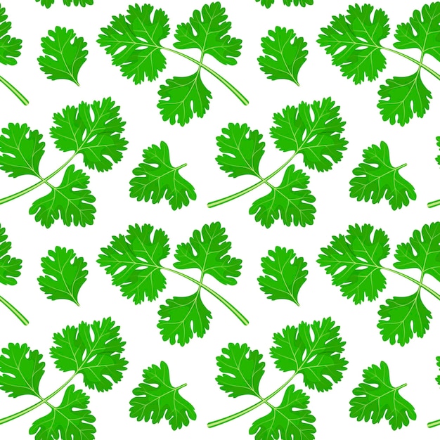 Seamless pattern with cilantro leaves herbs