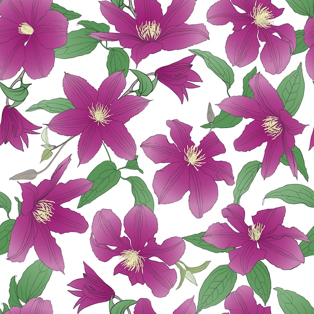 Seamless pattern with Clematis flowers.