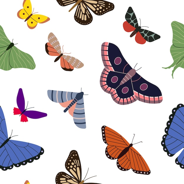 Seamless pattern with colored butterflies Vector illustration White background