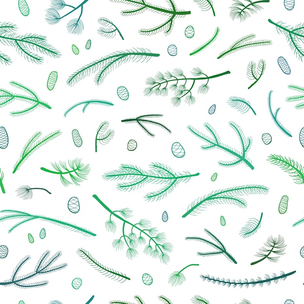 Seamless pattern with coniferous branches and cones