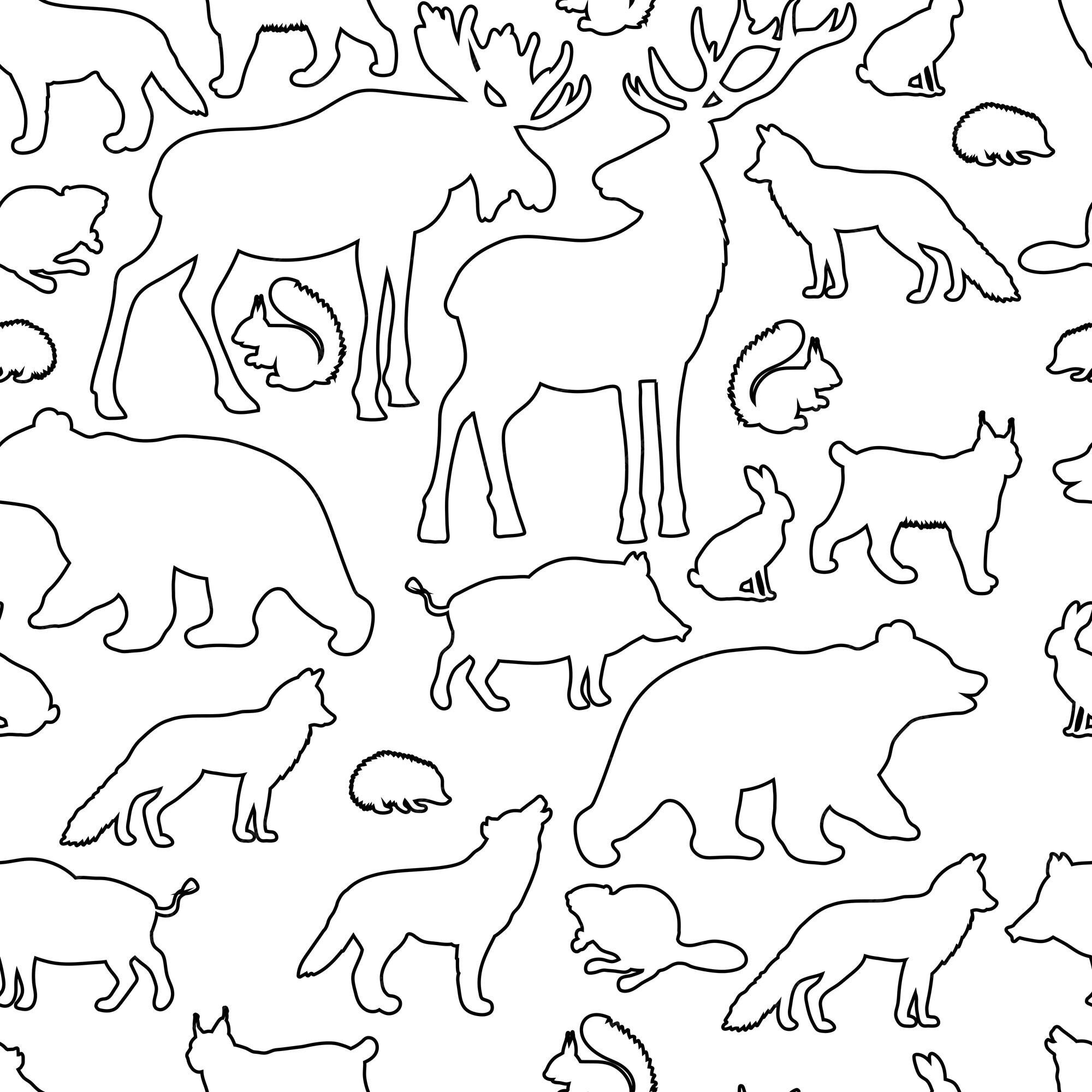 forest animals coloring pages