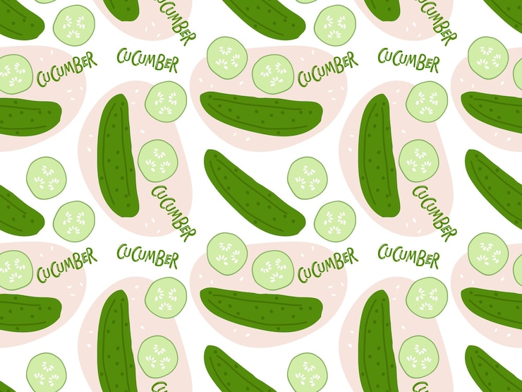 Vector seamless pattern with cucumber hand drawn doodle. fresh illustration vegan ingredient
