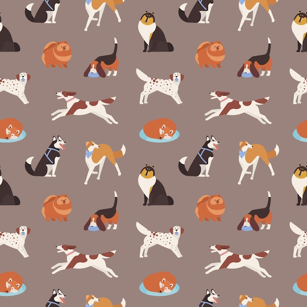 Seamless pattern with cute dogs of various breeds playing, running, walking, sitting, sleeping. Backdrop with adorable cartoon pet animals on grey background. Flat cartoon vector illustration.