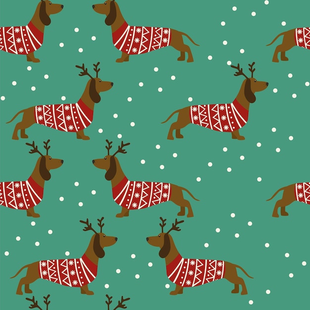 Seamless pattern with dachunds in red sweater.