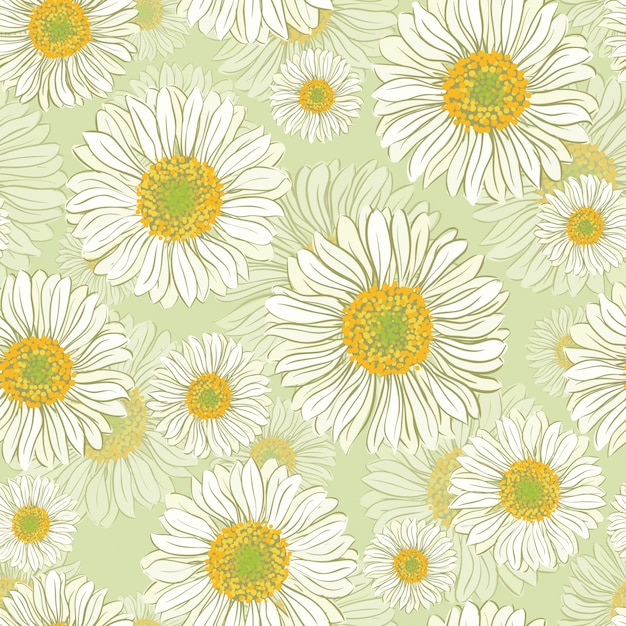 Seamless pattern with daisy flowers