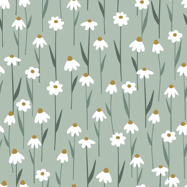 Seamless pattern with delicate camomile flowers