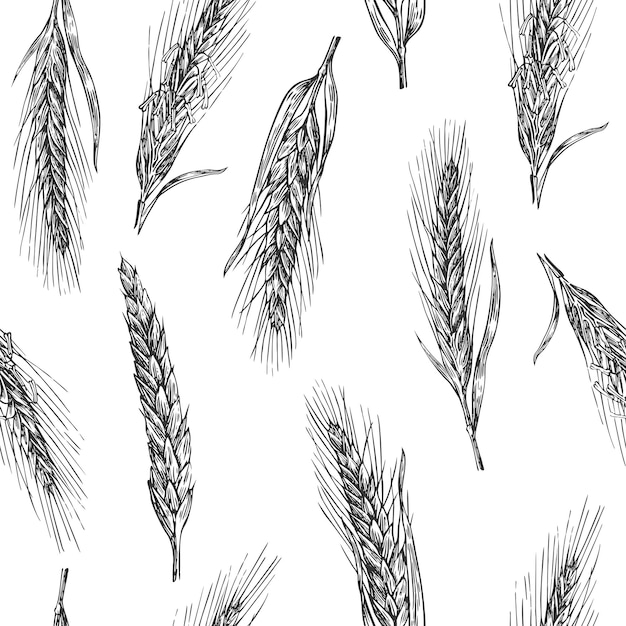 小麦の耳とシームレスなパターンベーカリースケッチヴィンテージベクトル手描き彫刻