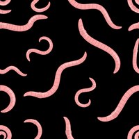 Vector seamless pattern with earthworms pattern with worms on a black background