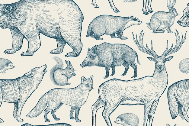 ベクトル 森の動物とのシームレスなパターン
