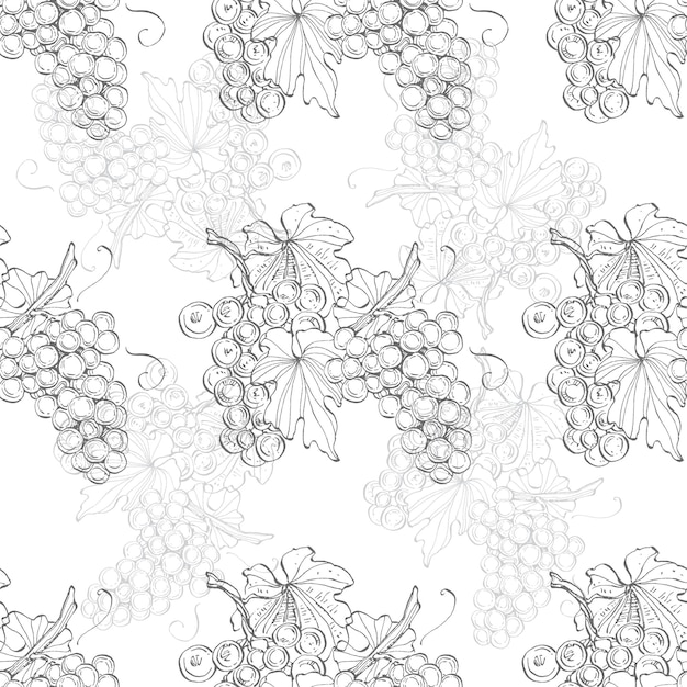 Seamless pattern with grape branch