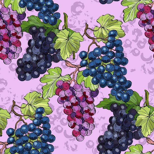 Бесшовный рисунок с виноградом и грушей Цветовой эскизный стиль ручной рисунка фона Детальная иллюстрация ручной рисунки Отлично подходит для тканевых и текстильных отпечатков упаковки приглашений