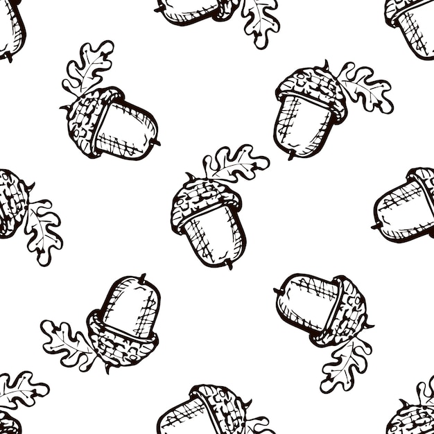 Seamless pattern with hand drawn acorns