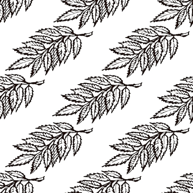 Seamless Pattern with Hand Drawn Ash Leaves