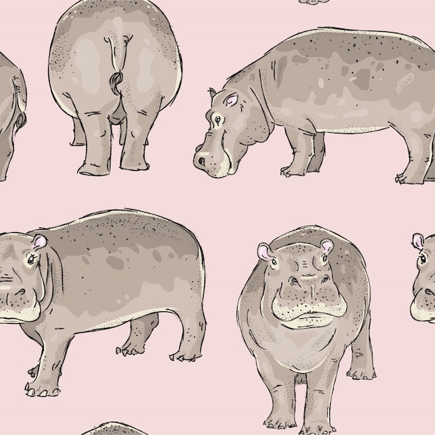 Seamless pattern with hand drawn hippopotamus