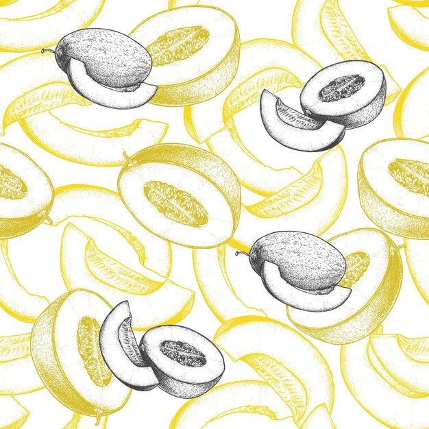 ベクトル 手描きのメロンとのシームレスなパターン スケッチ黄色メロン スライスおいしいトロピカル フルーツ夏の背景ベクトル イラスト